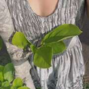 ヒメ日記 2025/08/30 08:18 投稿 紅羽【くれは】 丸妻 西船橋店