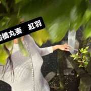 ヒメ日記 2025/09/05 18:32 投稿 紅羽【くれは】 丸妻 西船橋店