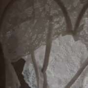 ヒメ日記 2025/10/13 12:05 投稿 紅羽【くれは】 丸妻 西船橋店