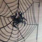 ヒメ日記 2025/10/21 12:24 投稿 紅羽【くれは】 丸妻 西船橋店