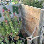 ヒメ日記 2025/10/24 19:35 投稿 紅羽【くれは】 丸妻 西船橋店