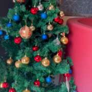 ヒメ日記 2025/11/06 06:26 投稿 紅羽【くれは】 丸妻 西船橋店