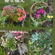 ヒメ日記 2025/11/06 10:36 投稿 紅羽【くれは】 丸妻 西船橋店