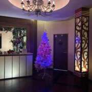 ヒメ日記 2025/11/22 14:22 投稿 紅羽【くれは】 丸妻 西船橋店