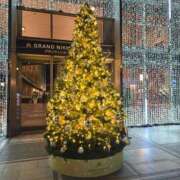 ヒメ日記 2025/12/02 18:11 投稿 紅羽【くれは】 丸妻 西船橋店