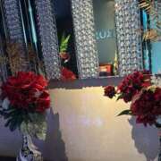 ヒメ日記 2025/12/13 14:35 投稿 紅羽【くれは】 丸妻 西船橋店