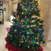 ヒメ日記 2025/12/15 08:46 投稿 紅羽【くれは】 丸妻 西船橋店