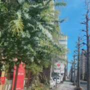 ヒメ日記 2025/12/31 13:42 投稿 紅羽【くれは】 丸妻 西船橋店