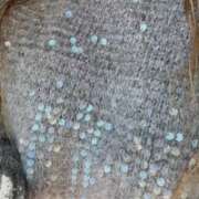 ヒメ日記 2026/01/08 12:53 投稿 紅羽【くれは】 丸妻 西船橋店