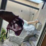 ヒメ日記 2026/01/25 18:30 投稿 紅羽【くれは】 丸妻 西船橋店