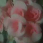 ヒメ日記 2026/01/27 10:03 投稿 紅羽【くれは】 丸妻 西船橋店