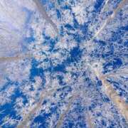 ヒメ日記 2026/02/10 12:36 投稿 紅羽【くれは】 丸妻 西船橋店