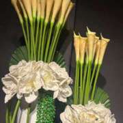 ヒメ日記 2026/02/12 09:24 投稿 紅羽【くれは】 丸妻 西船橋店