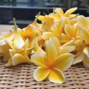 ヒメ日記 2026/02/13 07:50 投稿 紅羽【くれは】 丸妻 西船橋店