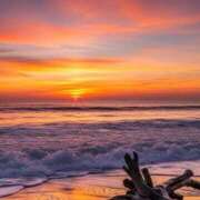 ヒメ日記 2026/02/13 23:17 投稿 紅羽【くれは】 丸妻 西船橋店