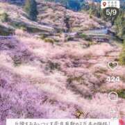 ヒメ日記 2026/02/14 08:37 投稿 紅羽【くれは】 丸妻 西船橋店