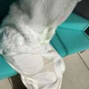 ヒメ日記 2026/02/20 12:00 投稿 紅羽【くれは】 丸妻 西船橋店