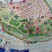 ヒメ日記 2026/03/05 15:06 投稿 紅羽【くれは】 丸妻 西船橋店