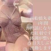 ヒメ日記 2026/09/02 16:51 投稿 紅羽【くれは】 丸妻 西船橋店