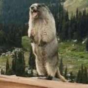 ヒメ日記 2024/12/24 22:55 投稿 ゆりか 中洲秘密倶楽部