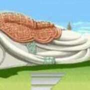 ヒメ日記 2025/01/08 22:45 投稿 ゆりか 中洲秘密倶楽部