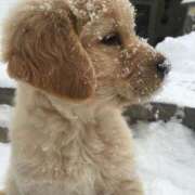 ヒメ日記 2025/01/10 00:51 投稿 みつき　ゴールド+5 CLUB虎の穴 福岡店