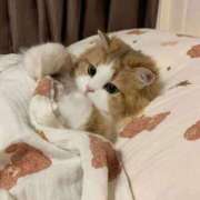 ヒメ日記 2025/01/14 09:25 投稿 みつき　ゴールド+5 CLUB虎の穴 福岡店