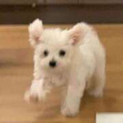 ヒメ日記 2025/01/15 22:17 投稿 みつき　ゴールド+5 CLUB虎の穴 福岡店