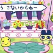 ヒメ日記 2025/01/31 15:43 投稿 みつき　ゴールド+5 CLUB虎の穴 福岡店