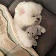 ヒメ日記 2025/02/03 08:36 投稿 みつき　ゴールド+5 CLUB虎の穴 福岡店