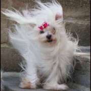 ヒメ日記 2025/02/03 23:13 投稿 みつき　ゴールド+5 CLUB虎の穴 福岡店