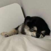 ヒメ日記 2025/02/04 08:13 投稿 みつき　ゴールド+5 CLUB虎の穴 福岡店