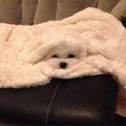 ヒメ日記 2025/02/04 16:43 投稿 みつき　ゴールド+5 CLUB虎の穴 福岡店