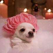 ヒメ日記 2025/02/06 10:02 投稿 みつき　ゴールド+5 CLUB虎の穴 福岡店