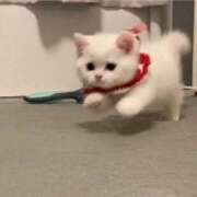 ヒメ日記 2025/02/06 21:03 投稿 みつき　ゴールド+5 CLUB虎の穴 福岡店