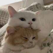 ヒメ日記 2025/02/07 11:30 投稿 みつき　ゴールド+5 CLUB虎の穴 福岡店