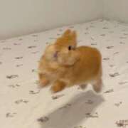 ヒメ日記 2025/02/12 02:41 投稿 みつき　ゴールド+5 CLUB虎の穴 福岡店