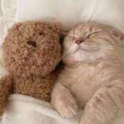 ヒメ日記 2025/02/12 08:27 投稿 みつき　ゴールド+5 CLUB虎の穴 福岡店