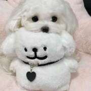 ヒメ日記 2025/02/13 08:20 投稿 みつき　ゴールド+5 CLUB虎の穴 福岡店