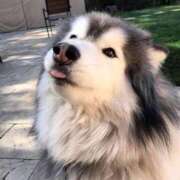 ヒメ日記 2025/02/27 03:40 投稿 みつき　ゴールド+5 CLUB虎の穴 福岡店