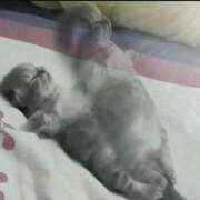 ヒメ日記 2025/02/27 11:05 投稿 みつき　ゴールド+5 CLUB虎の穴 福岡店