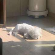 ヒメ日記 2025/03/01 07:02 投稿 みつき　ゴールド+5 CLUB虎の穴 福岡店