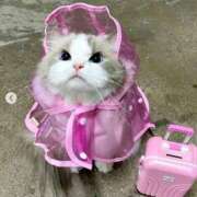 ヒメ日記 2025/03/03 02:51 投稿 みつき　ゴールド+5 CLUB虎の穴 福岡店