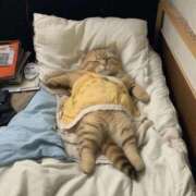 ヒメ日記 2025/03/03 07:09 投稿 みつき　ゴールド+5 CLUB虎の穴 福岡店