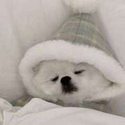 ヒメ日記 2025/03/04 07:27 投稿 みつき　ゴールド+5 CLUB虎の穴 福岡店