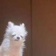 ヒメ日記 2025/03/04 13:19 投稿 みつき　ゴールド+5 CLUB虎の穴 福岡店