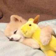 ヒメ日記 2025/03/05 08:35 投稿 みつき　ゴールド+5 CLUB虎の穴 福岡店