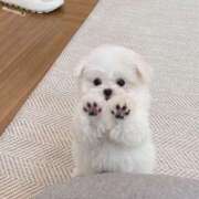 ヒメ日記 2025/03/05 13:40 投稿 みつき　ゴールド+5 CLUB虎の穴 福岡店