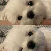 ヒメ日記 2025/03/06 07:49 投稿 みつき　ゴールド+5 CLUB虎の穴 福岡店