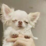 ヒメ日記 2025/03/06 12:50 投稿 みつき　ゴールド+5 CLUB虎の穴 福岡店